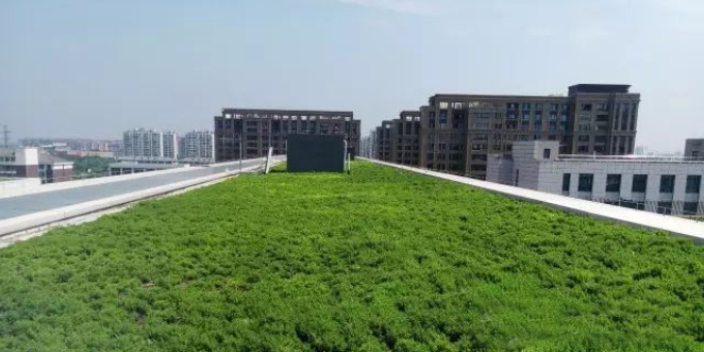 室內(nèi)植物墻裝修 客戶至上 上海海納邇氧森態(tài)科技供應