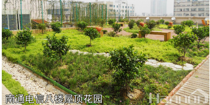 植物墙多少一平方 诚信经营 上海海纳迩氧森态科技供应