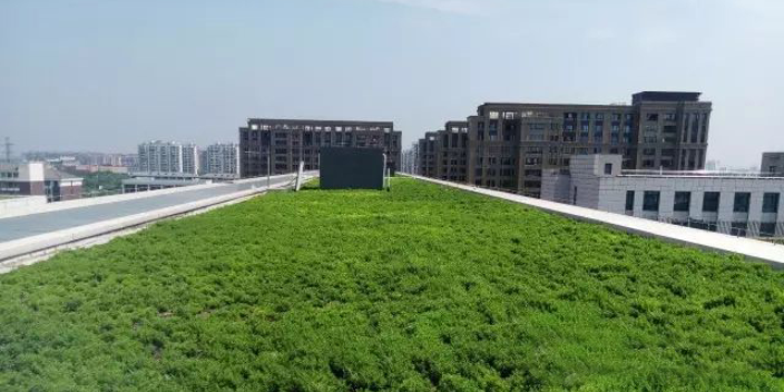 廈門植物墻 服務至上 上海海納邇氧森態科技供應