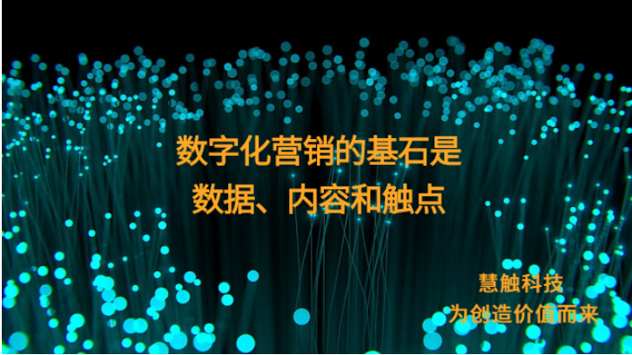 西夏区定制化数字营销方法 慧触信息科技供应