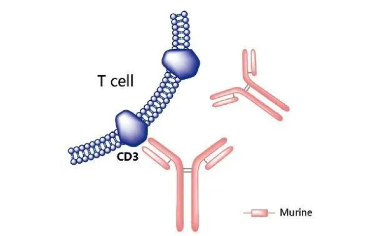 吉林FD NeuroTech抗體代理