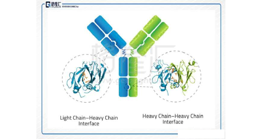 北京bioxcell抗體代理