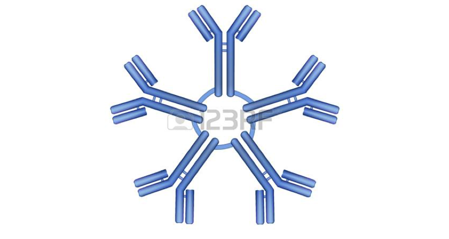 浙江ebioscience抗體代理