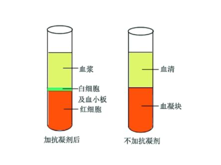 湖南AusgeneX血清代理