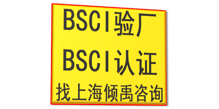 上海BSCI认证审核公司 欢迎来电 上海倾禹企业管理咨询供应
