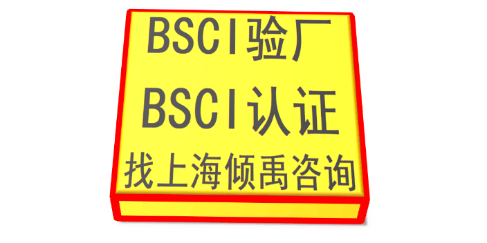上海BSCI认证联系方式 推荐咨询 上海倾禹企业管理咨询供应