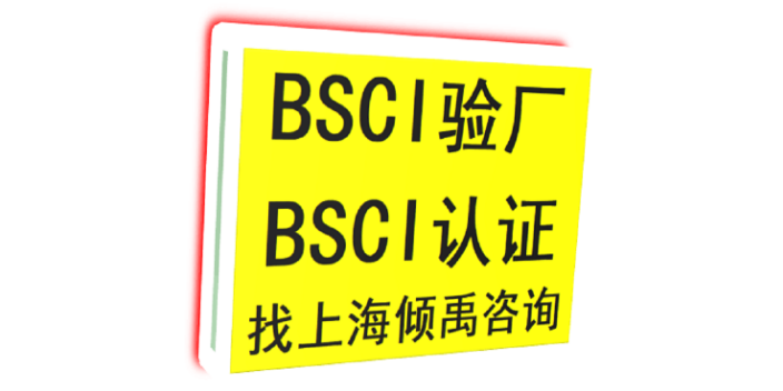 GSV反恐验厂DG验厂巴斯夫验厂FSCC认证BSCI认证审核公司辅导机构,BSCI认证