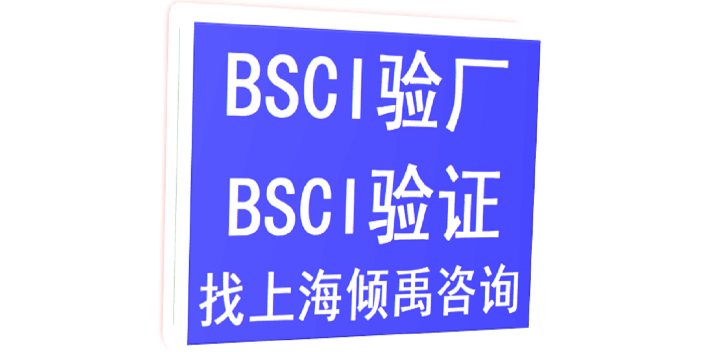 上海BSCI认证辅导公司 真诚推荐 上海倾禹企业管理咨询供应