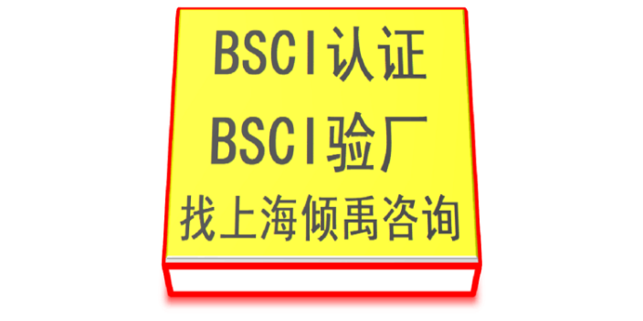 上海BSCI认证费用是多少 真诚推荐 上海倾禹企业管理咨询供应