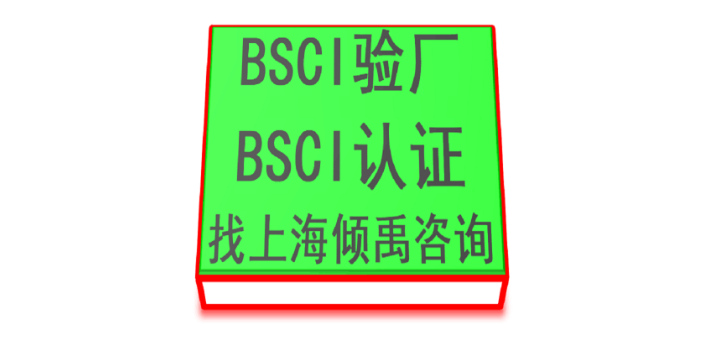 上海BSCI验厂辅导BSCI验厂流程 欢迎来电 上海倾禹企业管理咨询供应