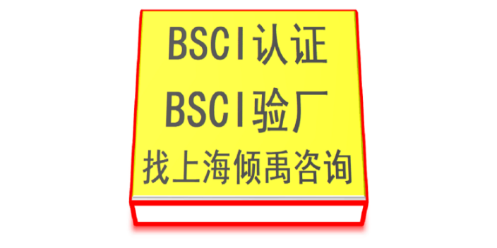 上海BSCI验厂咨询价格 欢迎咨询 上海倾禹企业管理咨询供应