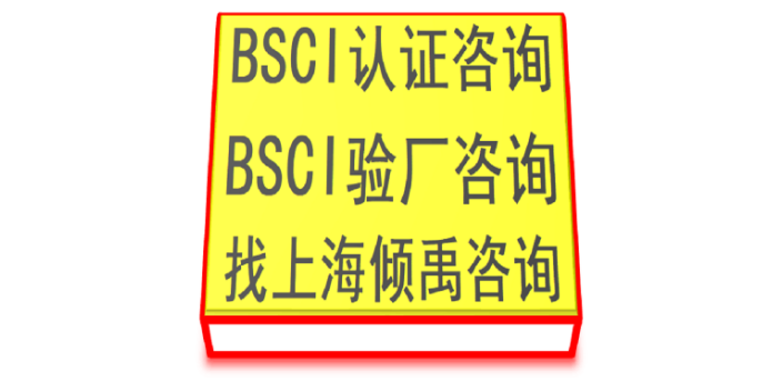 台州BSCI验厂流程-选择上海倾禹企业管理咨询有限公司来咨询