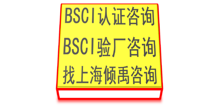 甘肃咨询BSCI验厂审核