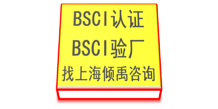 上海顾问公司BSCI验厂准备什么 来电咨询 上海倾禹企业管理咨询供应