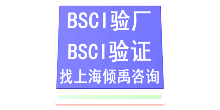 上海验厂辅导BSCI验厂 欢迎来电 上海倾禹企业管理咨询供应