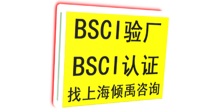 上海专业辅导BSCI验厂 推荐咨询 上海倾禹企业管理咨询供应