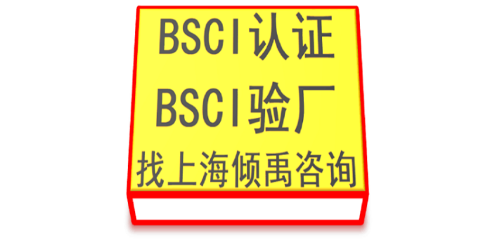 上海BSCI验厂辅导公司BSCI验厂准备什么 来电咨询 上海倾禹企业管理咨询供应
