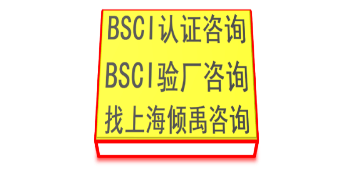 上海顾问公司BSCI验厂准备什么 欢迎咨询 上海倾禹企业管理咨询供应