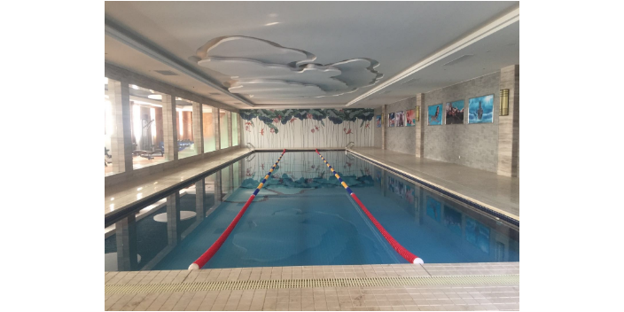 亳州儿童别墅游泳池水质处理