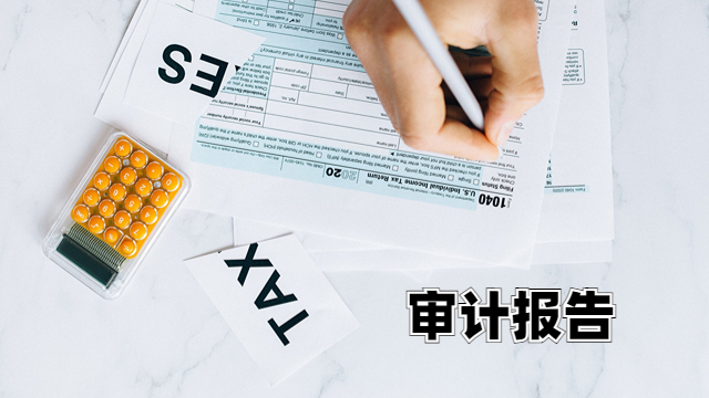 北辰区公司审计报告需要多少钱 中税正洁税务师事务所供应