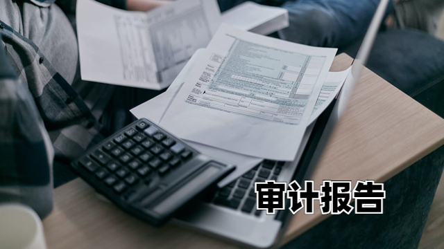 津南区财务报表审计报告大概多少钱 中税正洁税务师事务所供应