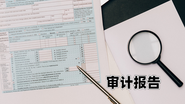西青区财务报表审计报告需要多少钱 中税正洁税务师事务所供应