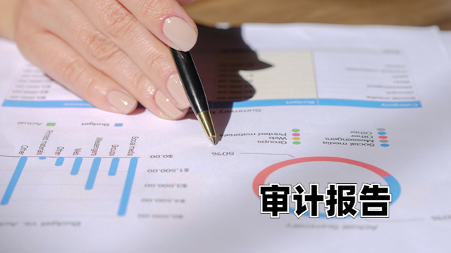 东丽区高新审计报告多少钱 中税正洁税务师事务所供应