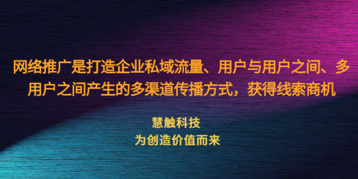 金凤区公司网络推广技巧 慧触信息科技供应;