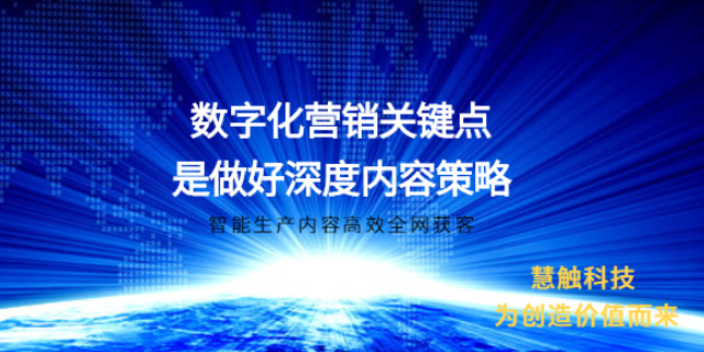 金凤区公司网络推广模式 慧触信息科技供应