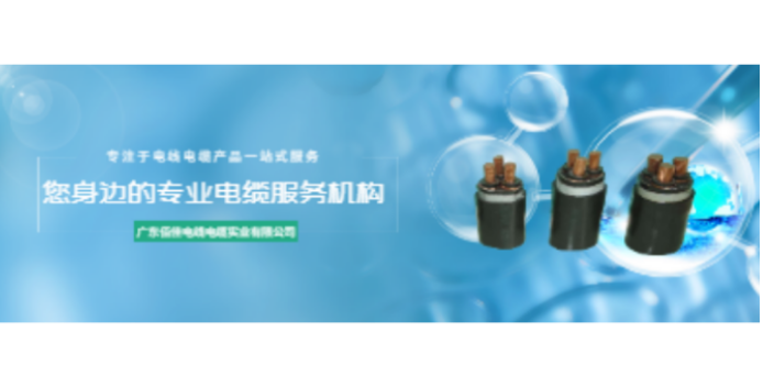 霞山区不锈钢铠装电缆 欢迎咨询 广东佰佳电线电缆供应