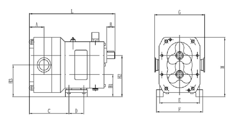 转子泵泵头尺寸用图.jpg