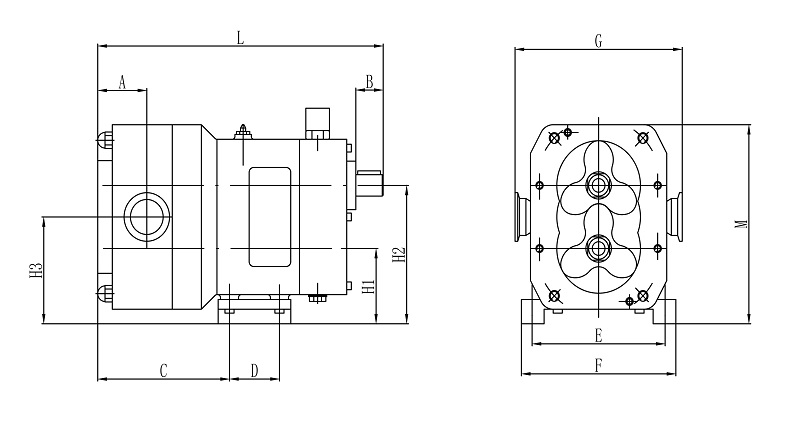 轉子泵泵頭尺寸用圖2.jpg