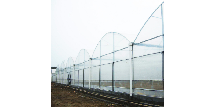 綿陽工程建設(shè)溫室大棚生產(chǎn)廠家 溫室大棚 綿陽興隆科技供應(yīng)