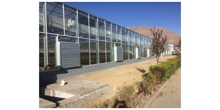 綿陽農(nóng)業(yè)溫室大棚推薦廠家 節(jié)水灌溉 綿陽興隆科技供應(yīng)