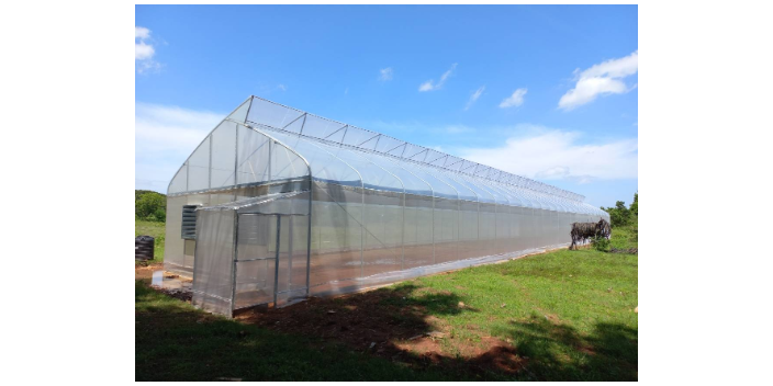 绵阳日光温室大棚推荐厂家 节水灌溉 绵阳兴隆科技供应
