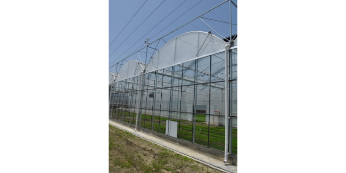 绵阳日光温室大棚灌溉 客户至上 绵阳兴隆科技供应