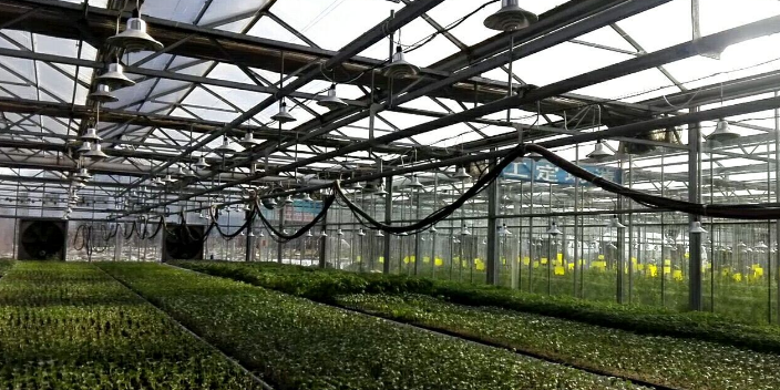 浙江蔬菜大棚温湿度监测系统 欢迎来电 南京万宏测控供应