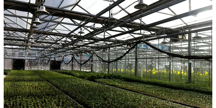 智能温室灌溉系统