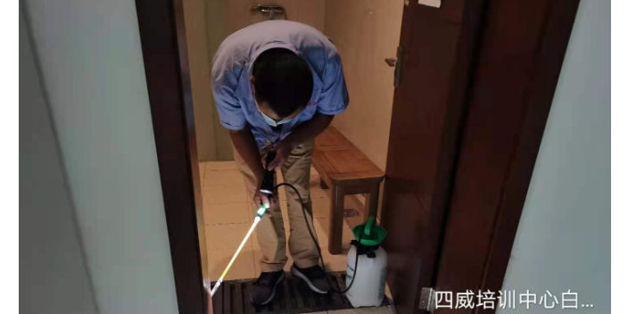 四川酒店白蚁灭治服务 四川蜀都害虫防治供应;