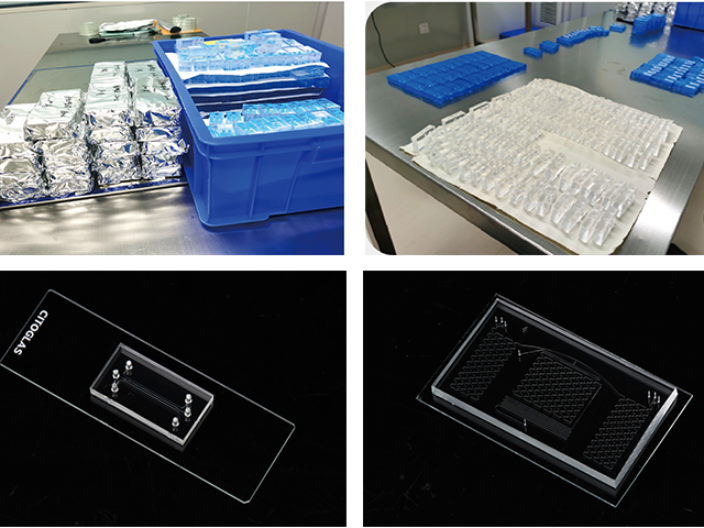 福建玻璃微流控芯片设计,微流控芯片