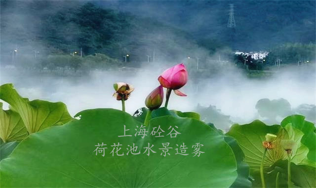 荷花池水景造霧
