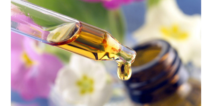 圣羅勒葉提取物功效 有機認證 深圳自然歐植國際貿(mào)易供應(yīng)