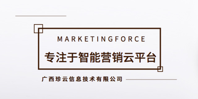 广西公司有智能营销排名