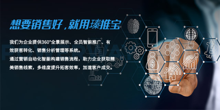 電白區家政業網絡推廣價格 來電咨詢 茂名市光年科技供應