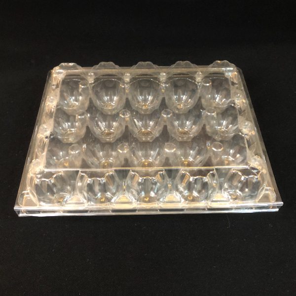 Disposable Transparent Plastic Egg TrayFor SaleSupplier