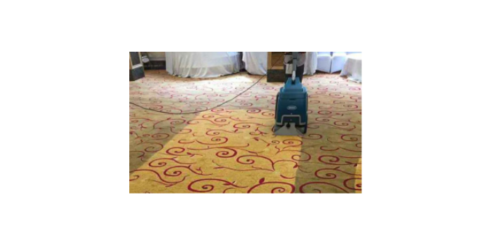 李沧区沙发地毯清洗 客户至上 山东东升明阳家政清洁供应