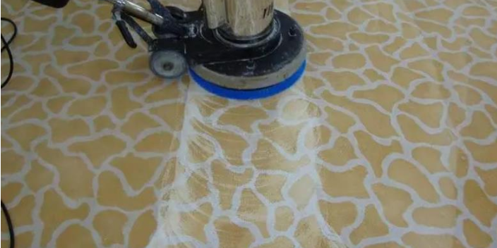 青岛市高新区写字楼地毯清洗具体流程 服务为先 山东东升明阳家政清洁供应;