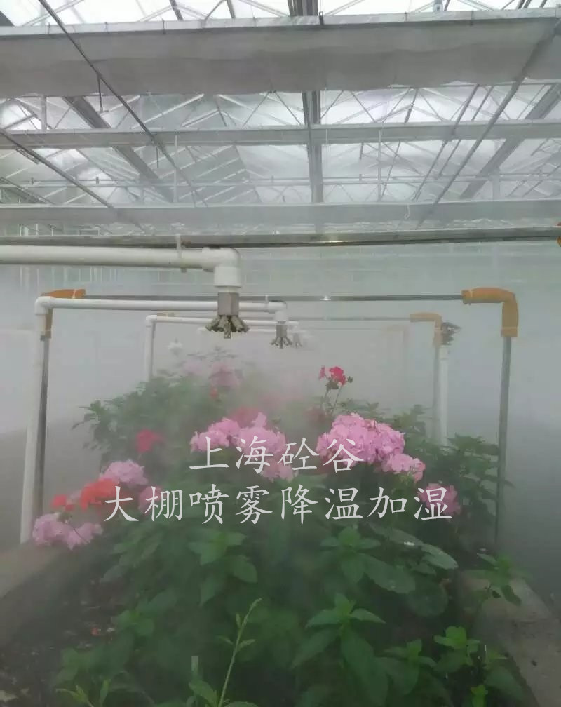 大棚花卉噴霧加濕
