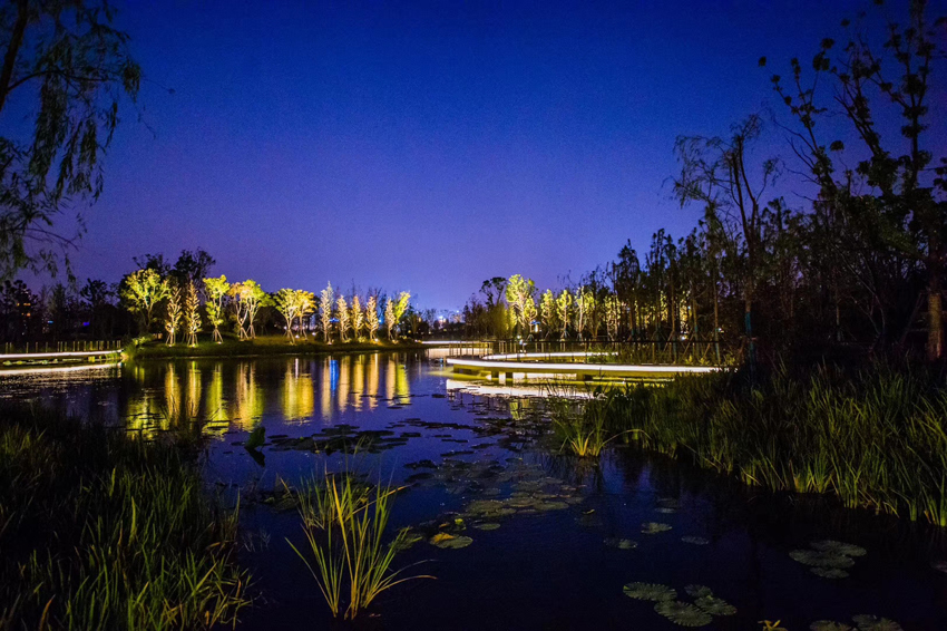 紫琅湖公园 (3).jpg