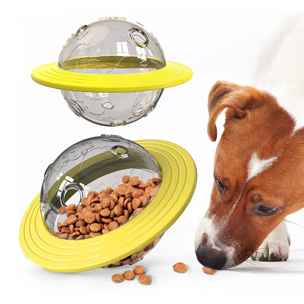 Slow Pet Food Dispenser